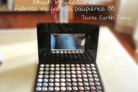Blush Professional 88 couleurs, ma palette de débutante