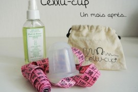 Anti Cellulite, le Cellu – cup un mois après !