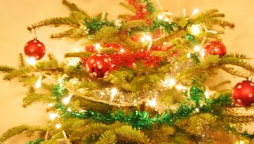 C’est encore un peu Noël par ici… ❄