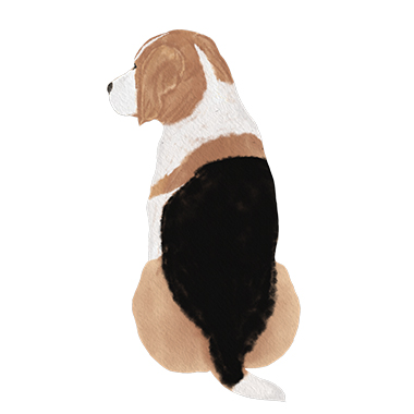 Beagle 2